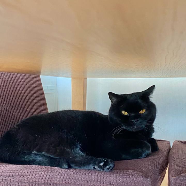 A0d1e46f b2be 40e1 906d 4cfeb34d06b3 1683793314090