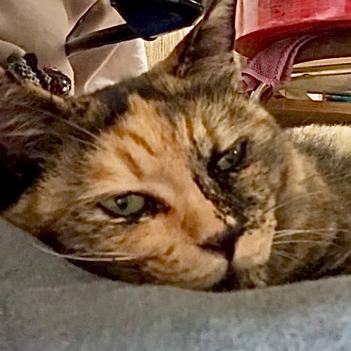 A0d1ee83 2032 4dfb a431 9193e08ea42e 1754532476464