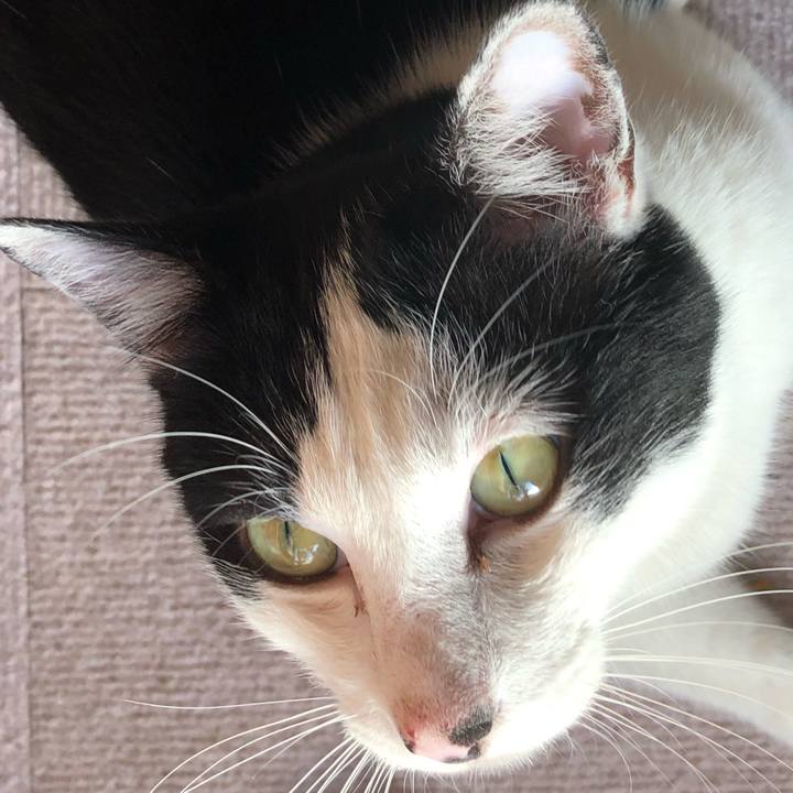 A0d203aa 5934 4108 ab47 31a731b723cc 1557042035783