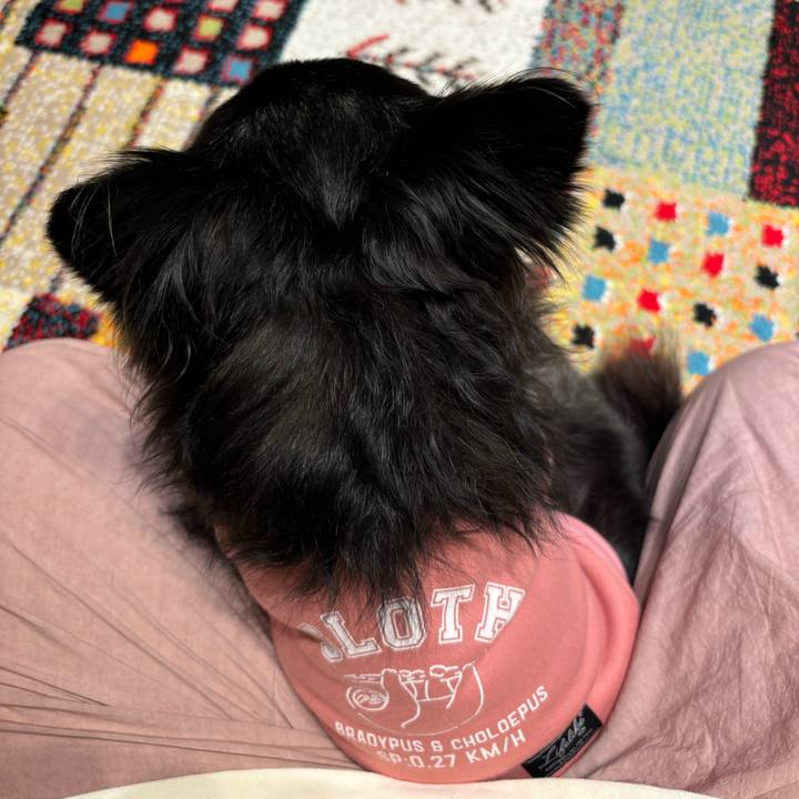 A0d204fd d9d6 43d4 80ac 3e4d6f8126ef 1731256712452