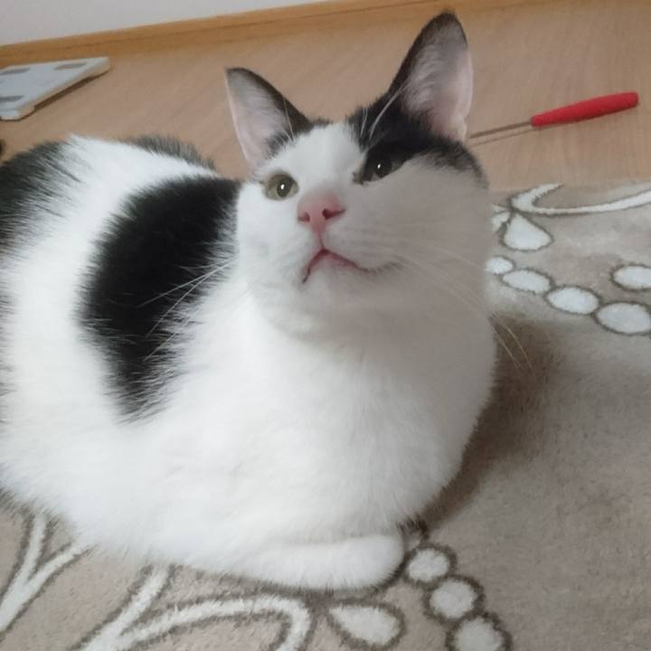 A0d22543 d3d5 4bca abb6 922953168f07 1518006143258