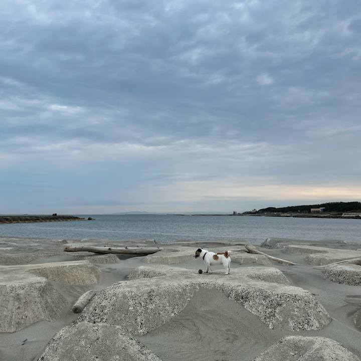 A0d23ce0 72dc 4986 902a 3a2ec7ff8b21 1619564366811