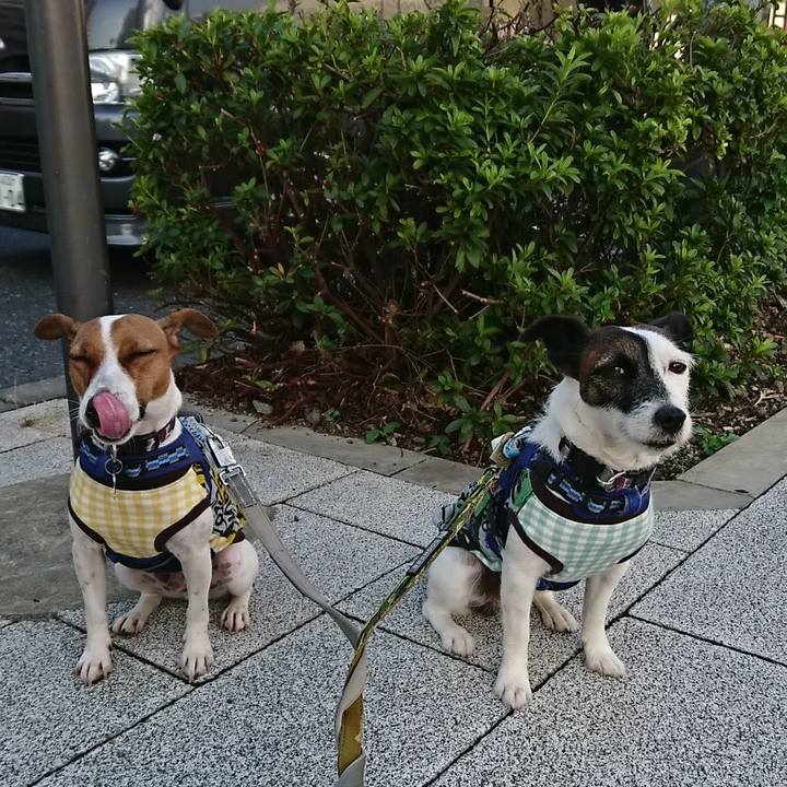 A0d2527b 6d9a 4f31 86ec ac2e0f945b4e 1539036045097