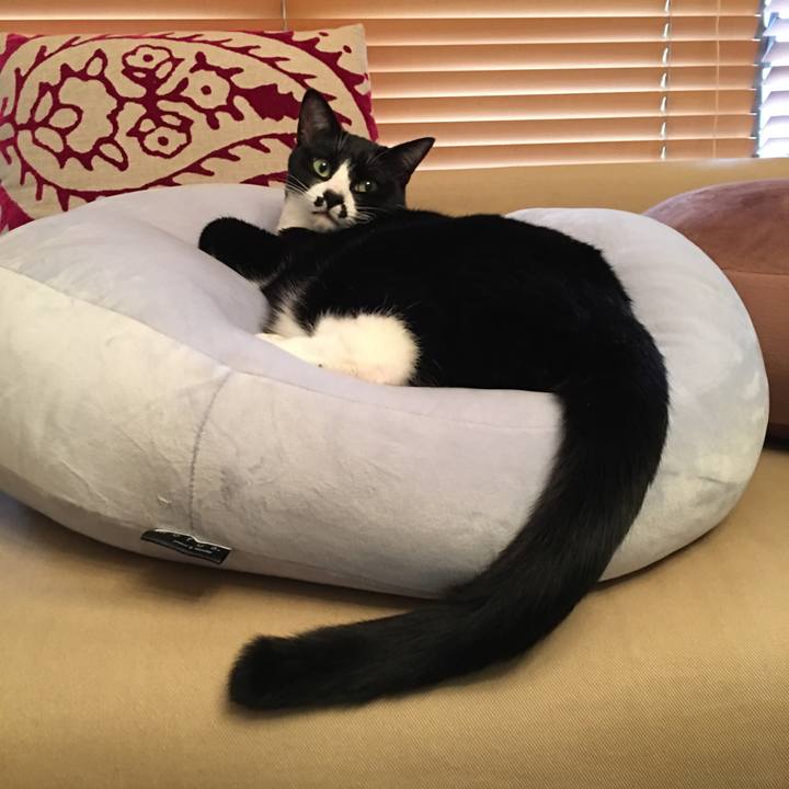 A0d25ae2 d480 4417 943a b5566b5a2aee 1518361169404