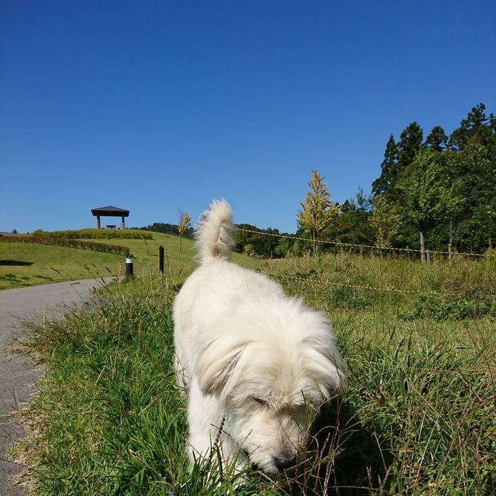 A0d2799c 1c1b 4a5f adcf 79dc3d4db11d 1569554809925