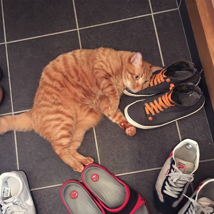 A0d2bc31 154b 4759 94c6 db0ece6f72bc 1522366144743