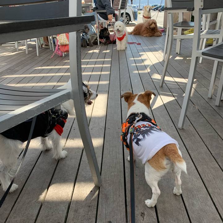 A0d305b7 82d7 4f96 925a f6169b14f581 1573867183608