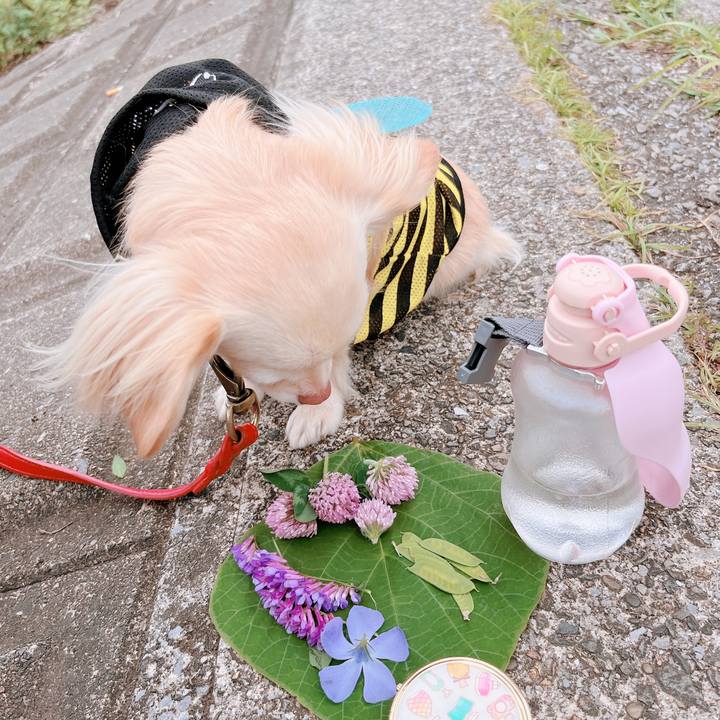 A0d316c2 e0c9 41e6 afd4 a93b2e503c2b 1652961270083