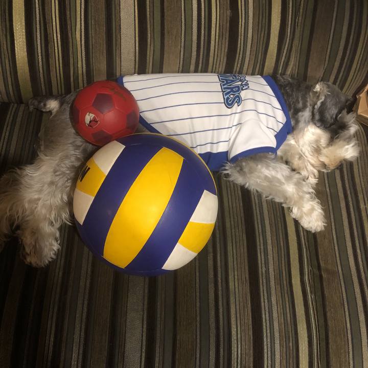 A0d332c4 68c9 4630 9e05 7eb2347a6a89 1570364186241