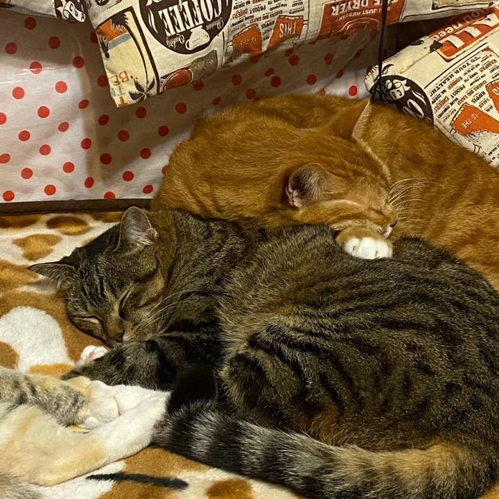 A0d355b5 4abf 4d3b bc8d fdaad31df271 1617536058190