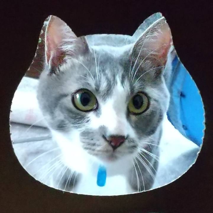 A0d363b5 3acd 49ce adb6 4386399894b5 1596411840464