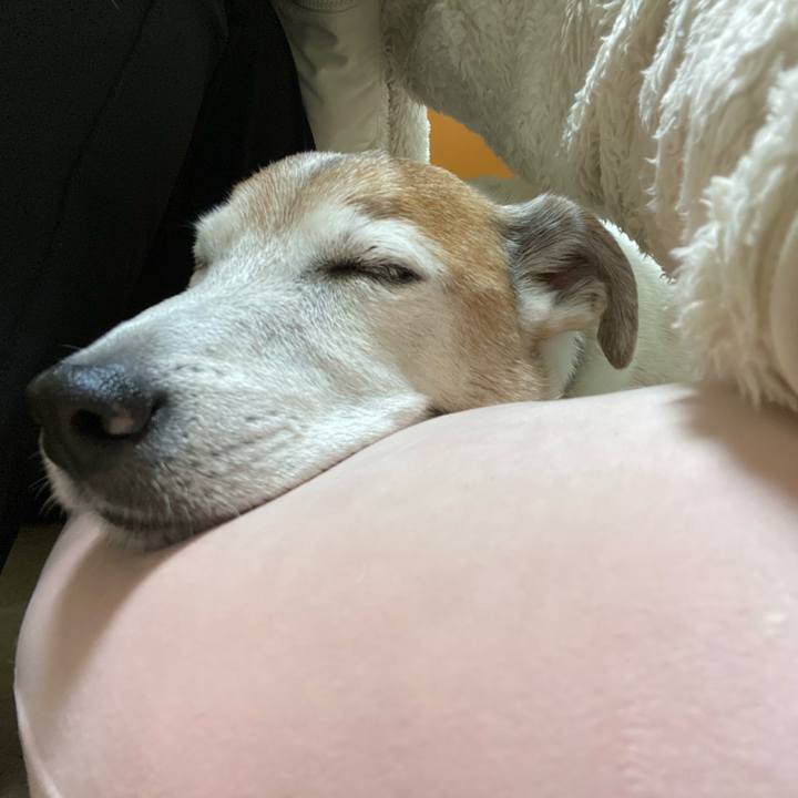 A0d3b9cb ecad 4fc9 8e51 8331a1c1fac9 1611286339596