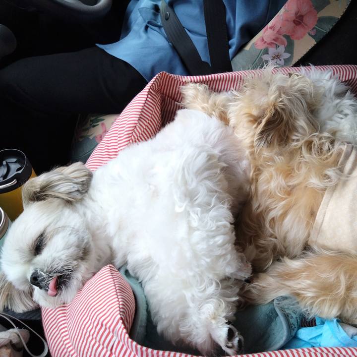 A0d3cc05 9850 4307 b89d 4d373880478d 1750195219893