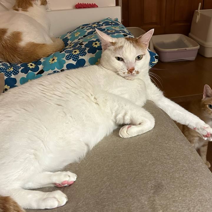 A0d49347 f6ed 41dc ac10 afd642d0822e 1675606530144