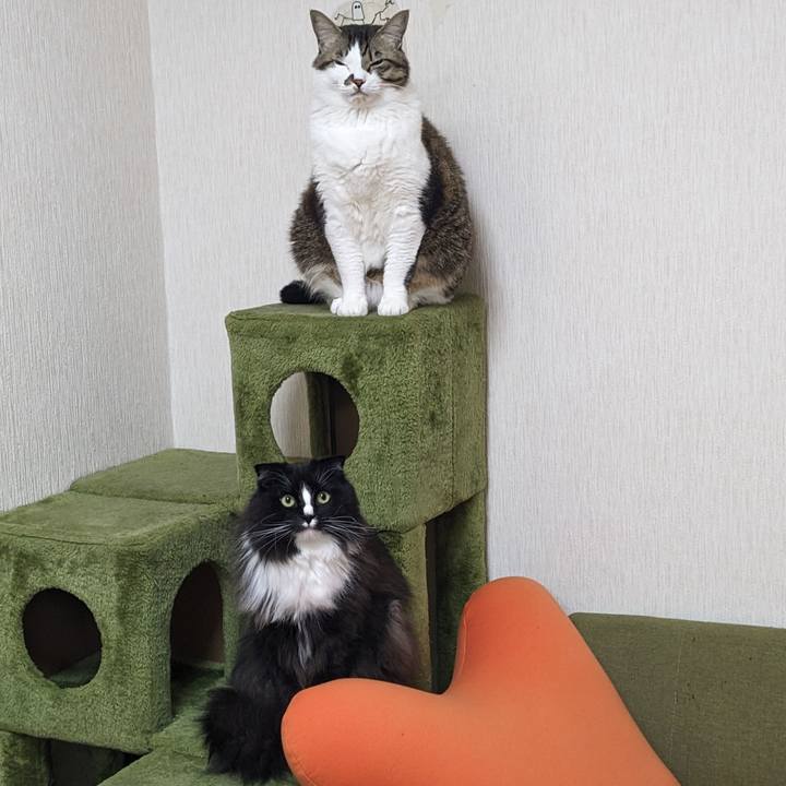 A0d4a16b 1758 43c7 ba2b bb171b74f218 1706479893158