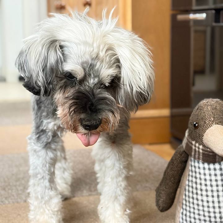A0d4a4b2 f563 4fe3 8779 c130d3b9f651 1786275892485