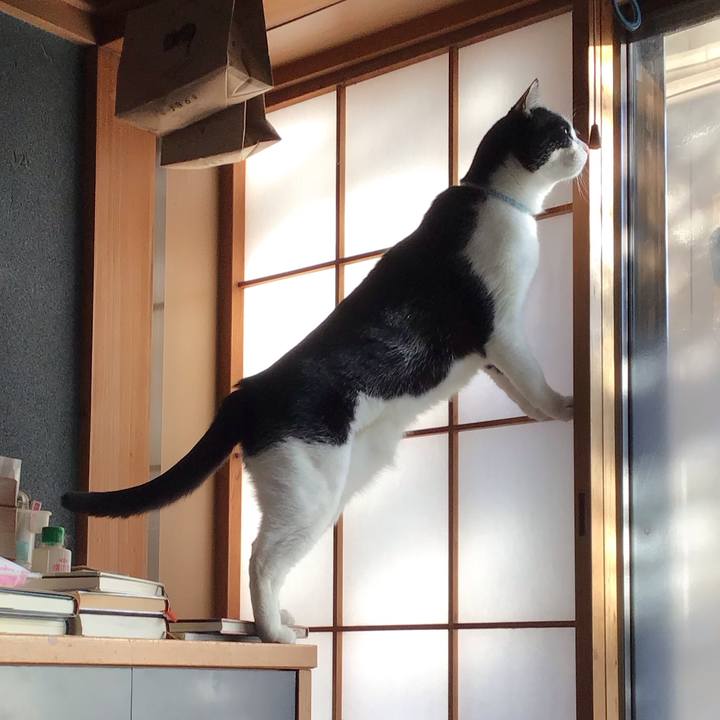 A0d4b89a 87ed 4559 8432 5b03a8e4075e 1733969955757