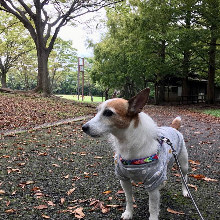 A0d4e18b 53c9 4efa 986a 2199747857ee 1632615517121