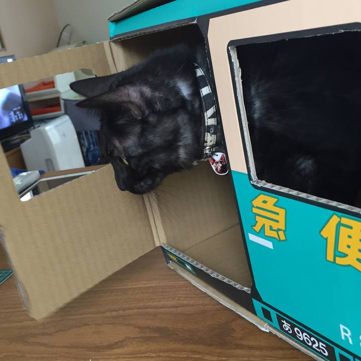 A0d4f256 1760 4024 819f d2f8cdc4b370 1534647957812