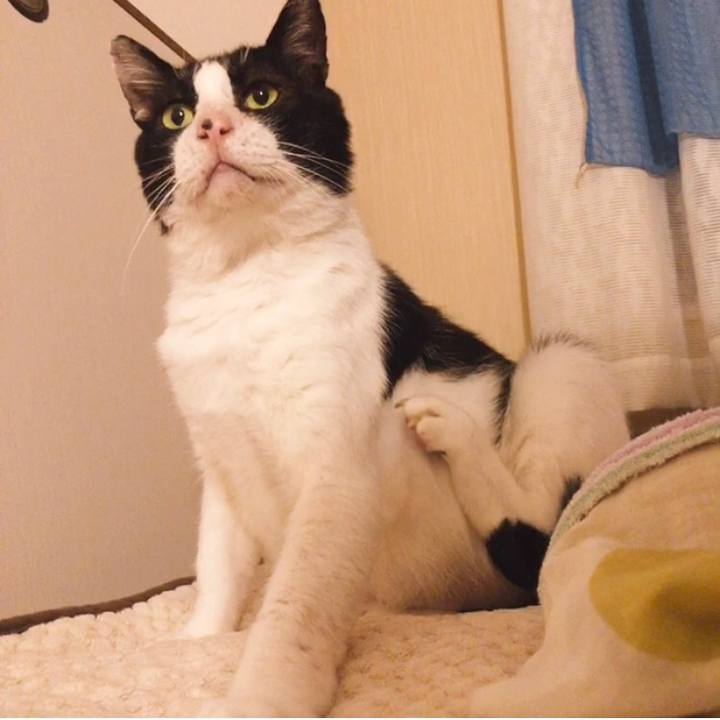 A0d51af5 4417 4ccd a65b e521df7bcbeb 1635504185508