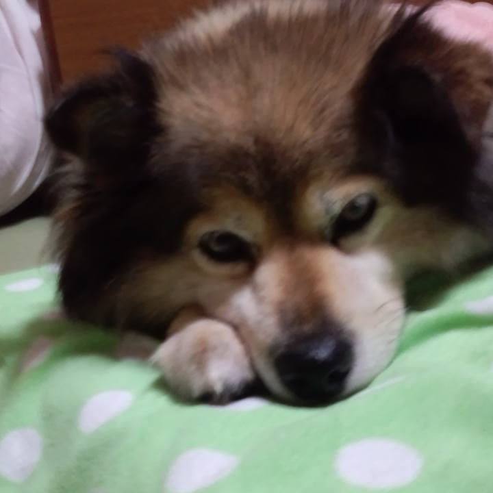 A0d545d4 e7a4 4889 b037 13b6f35d776b 1573695672480