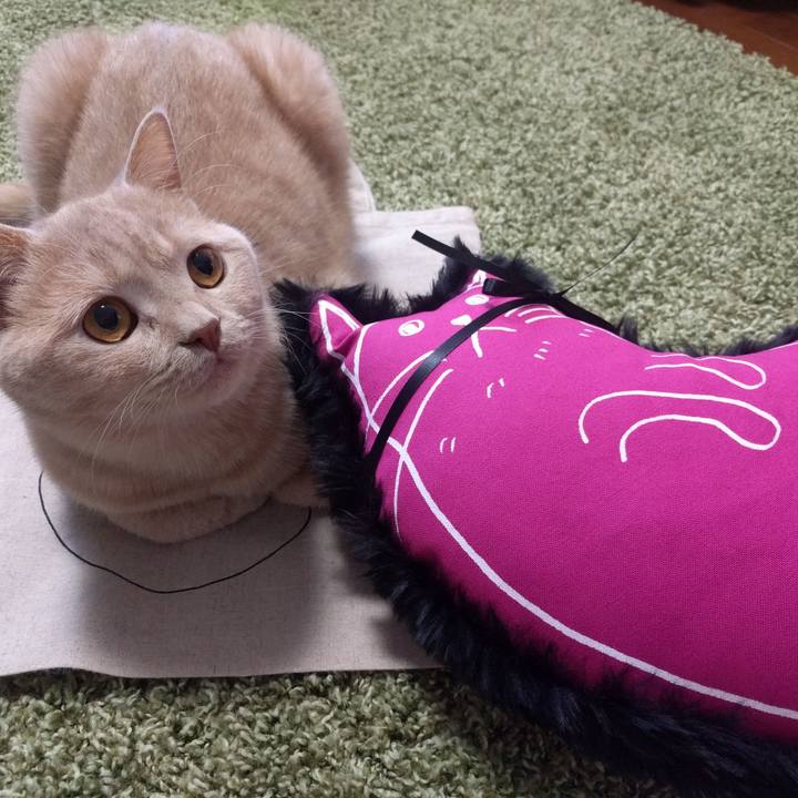 A0d5764c a856 420f a48e f1705b307788 1541908852631