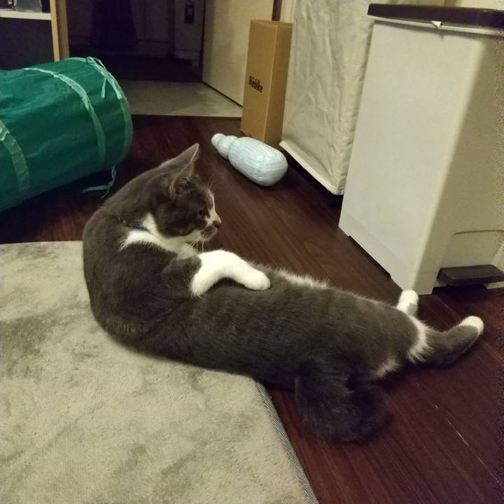 A0d5c304 5c25 49f8 a9ee c8986b6debe3 1600266481578