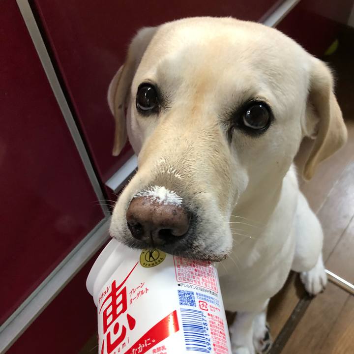 A0d5fc2e 7138 4f59 96d0 7b8231d008ee 1623624223237