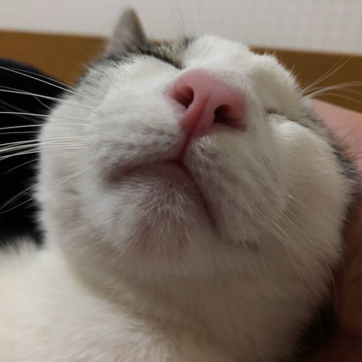 A0d6055e b2c1 43cf b174 633642f982c4 1577111119670