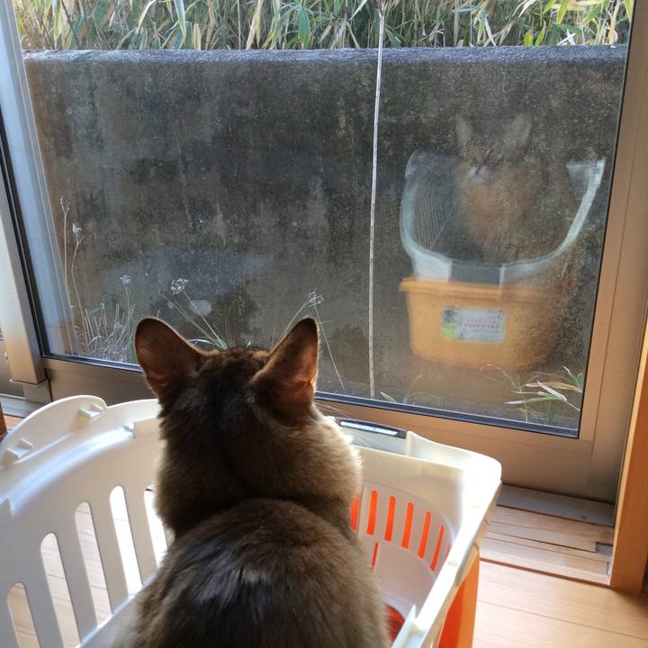 A0d610f6 4b57 434b 9f92 3208f0ccdc95 1579909583091