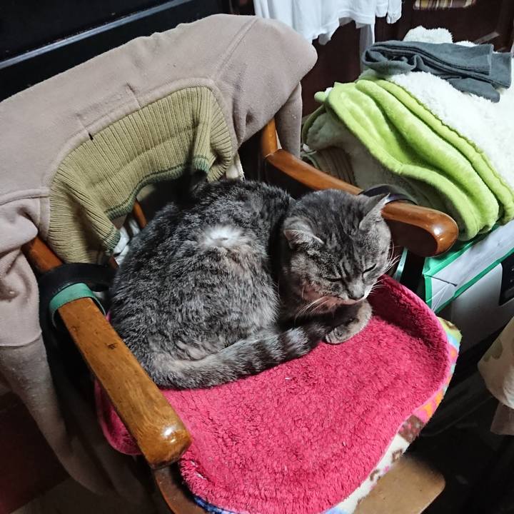 A0d62494 7581 4bea b775 f5588fc20bbe 1582109596752