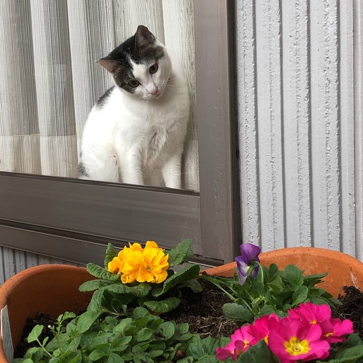 A0d64e71 1362 408e b362 b711257587e8 1605698405055