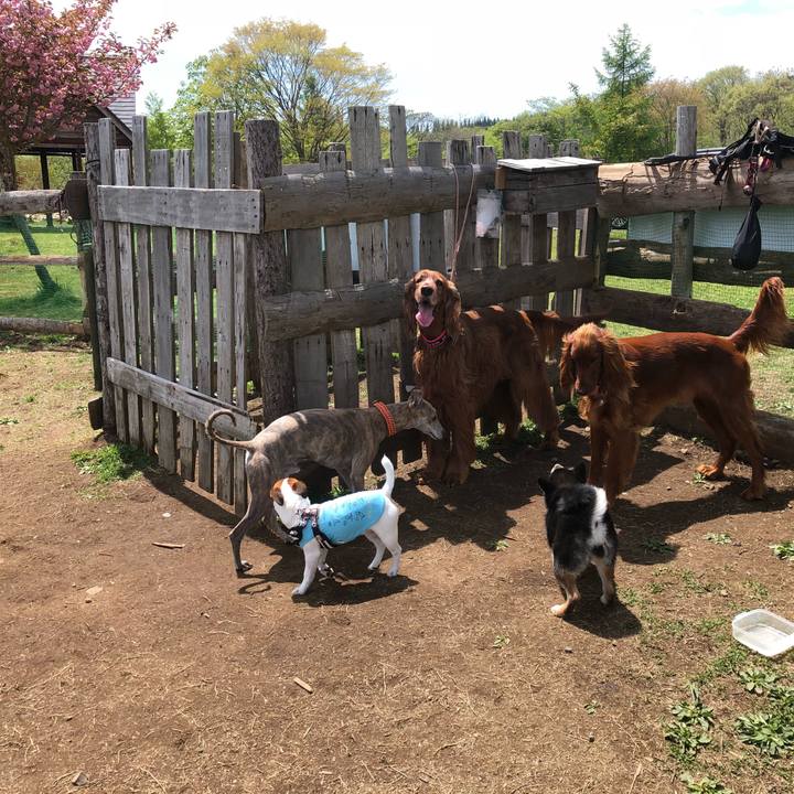 A0d68fec c3b0 4249 98bf af6f2e0a0bb5 1525582356753