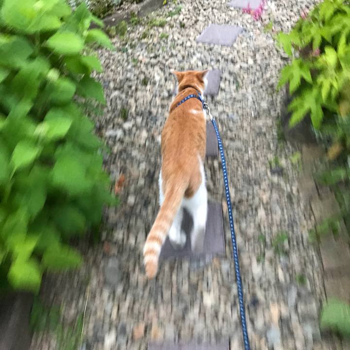 A0d708fb 6d68 410d 98d6 7f0e863d2203 1528450466006