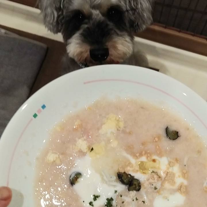 A0d70b41 9740 4f92 867c 5853e8d7e281 1656215174723