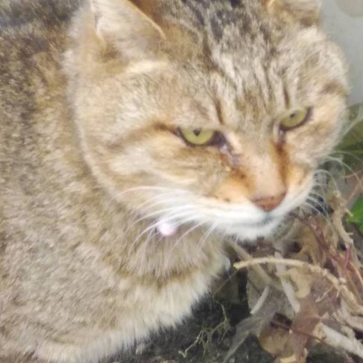 A0d717ba 2106 4113 a707 32280e0cb418 1614333702996