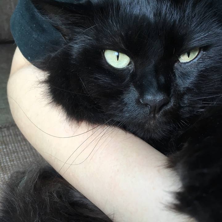 A0d72820 2b53 4517 ad1d 63f5c0717d7f 1530840484902