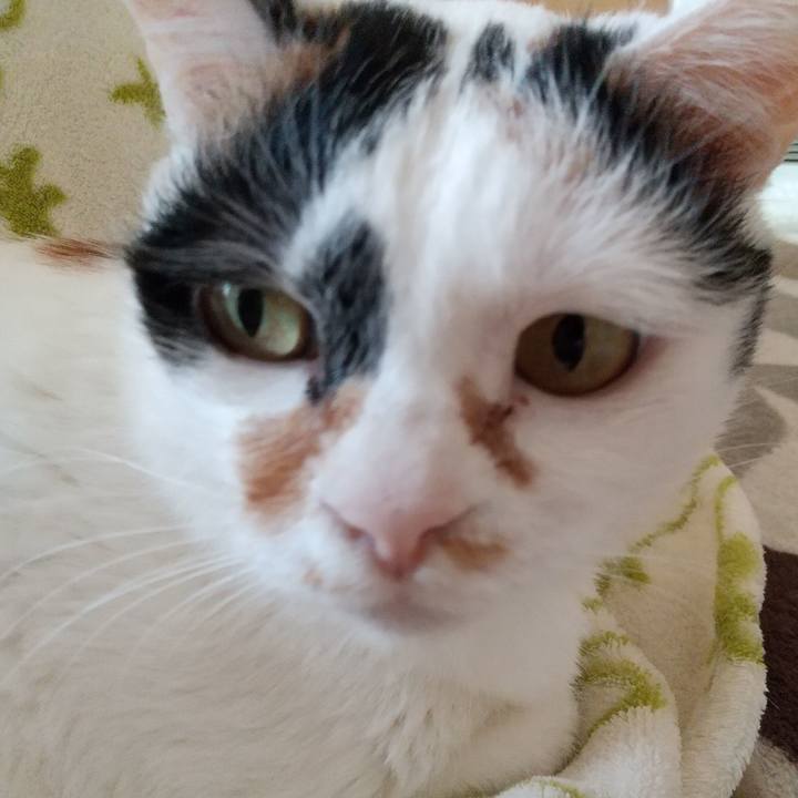 A0d74999 7a54 4206 8a96 b6e43562c604 1585180801236