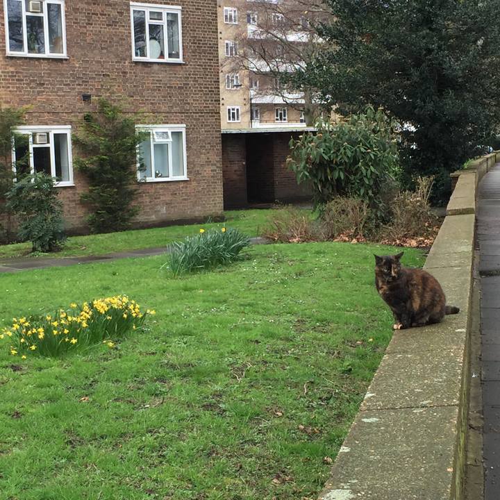 A0d76ade 360c 4803 9bd1 a2b5fa9d6a5b 1522672706619