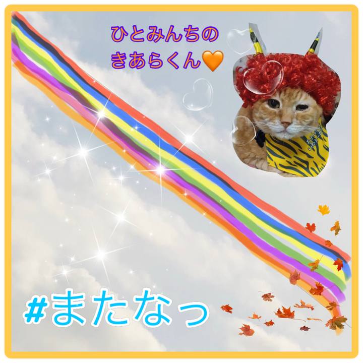 A0d7802e c358 46d8 ac41 f763dfd3ba41 1637648147464