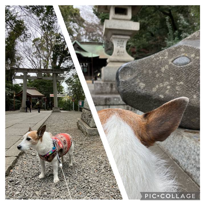 A0d7b4c3 7a78 48f0 81c7 9dd18c3858ee 1705727615879