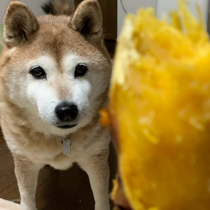 A0d7eb21 9a60 4a4f 8ef9 90e01a1b8084 1582891412727