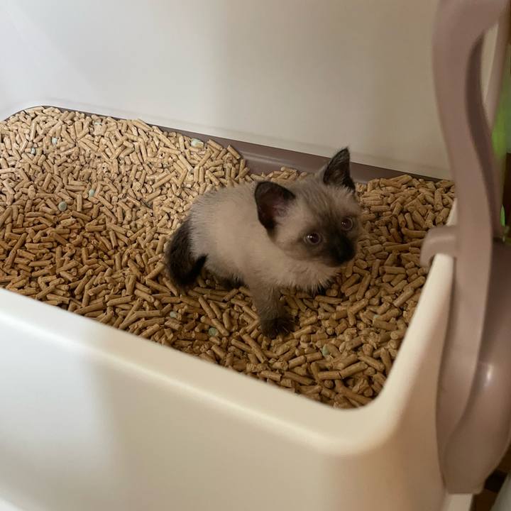 A0d8371f db79 42cb 84c4 d9f51f4b1096 1687208480546