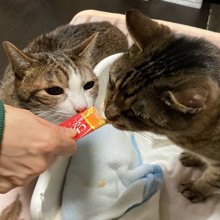 A0d8691e e777 427f 8673 c31a99ae5fa1 1643092782455