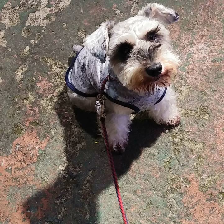 A0d87dbf 8ceb 4248 88b2 28e01747a58d 1593147108206