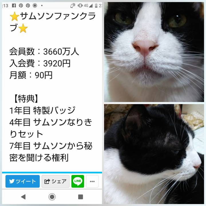 A0d8852f 55e2 4504 9d7d 4a5f0913a569 1568384216091