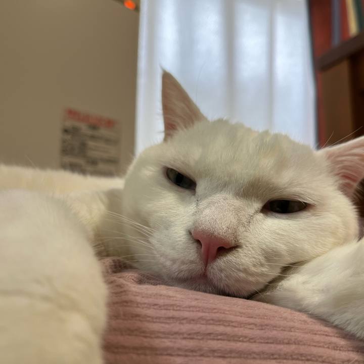 A0d88ddc 8329 43f7 8975 17877df6a584 1764072343681