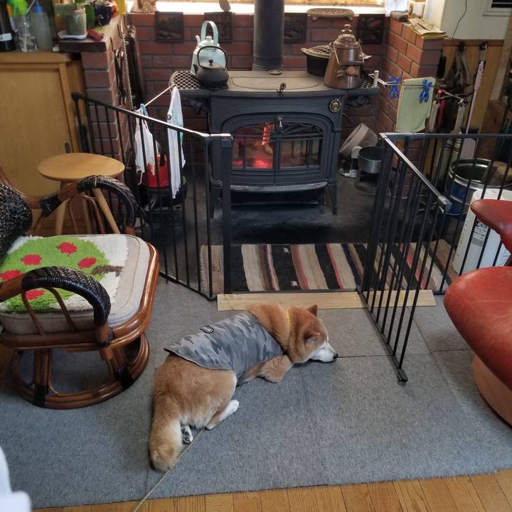 A0d8a0ea 1409 48fe b5fc 164f074acf1c 1679184493171