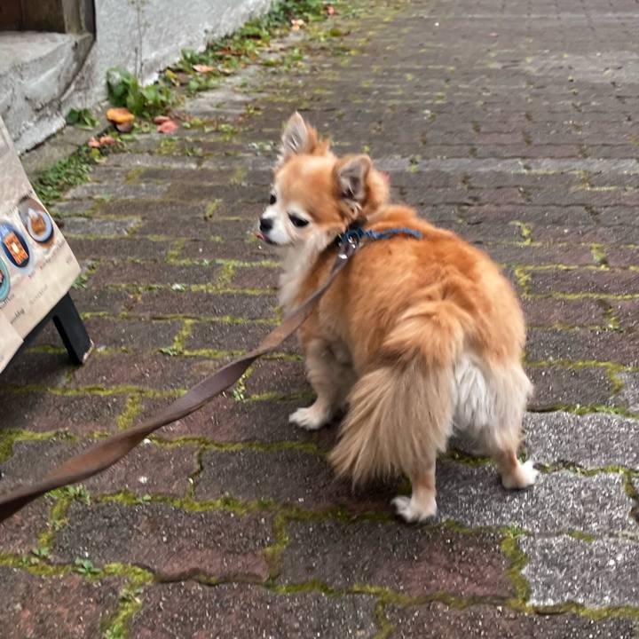 A0d8bae5 03b1 4295 a3d9 399860ebafcc 1764325342716