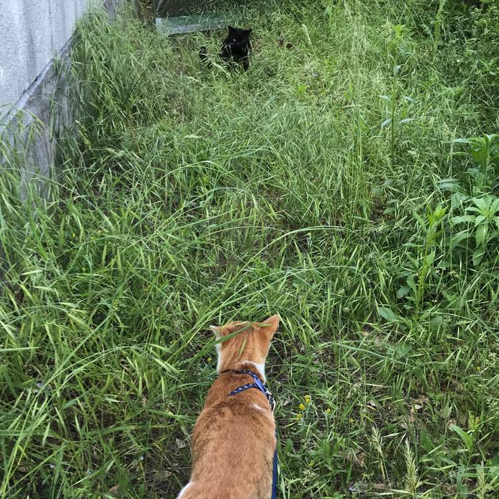 A0d8eb55 e9f4 4ab8 9ac3 8623a8159ed8 1526810214047